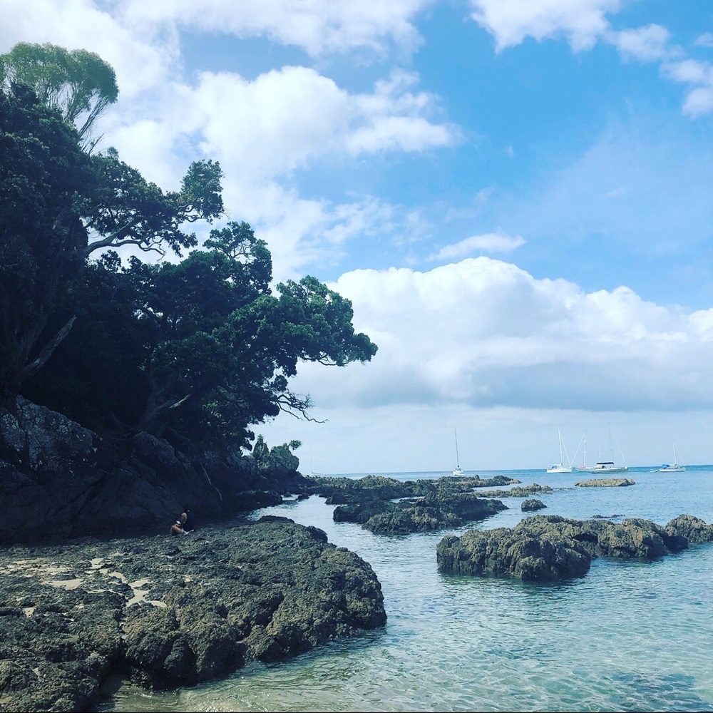 Meet your Posher, Magnolia